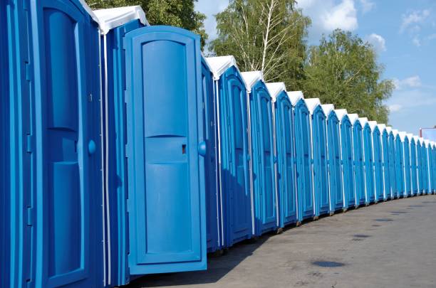 Best Porta potty rental for festivals  in Onarga, IL